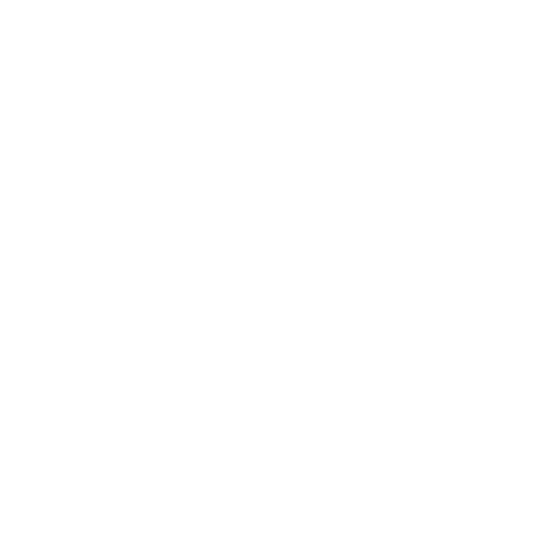 Embassy Suites Logo White